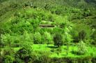 Kullu Sunlight