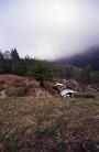 Hillock II