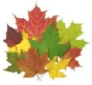 ArtLeaves